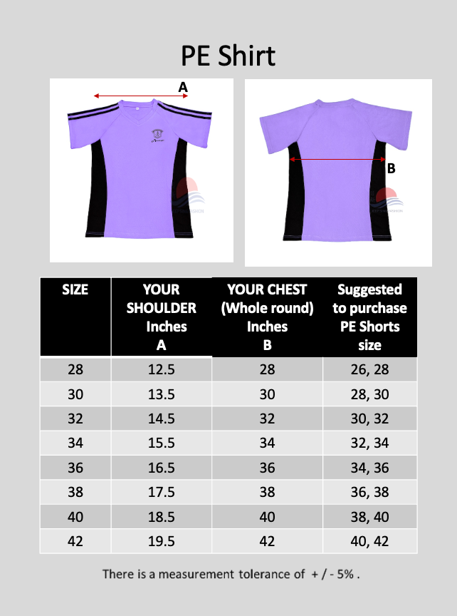 MCS Purple PE T-Shirt (Amethyst)