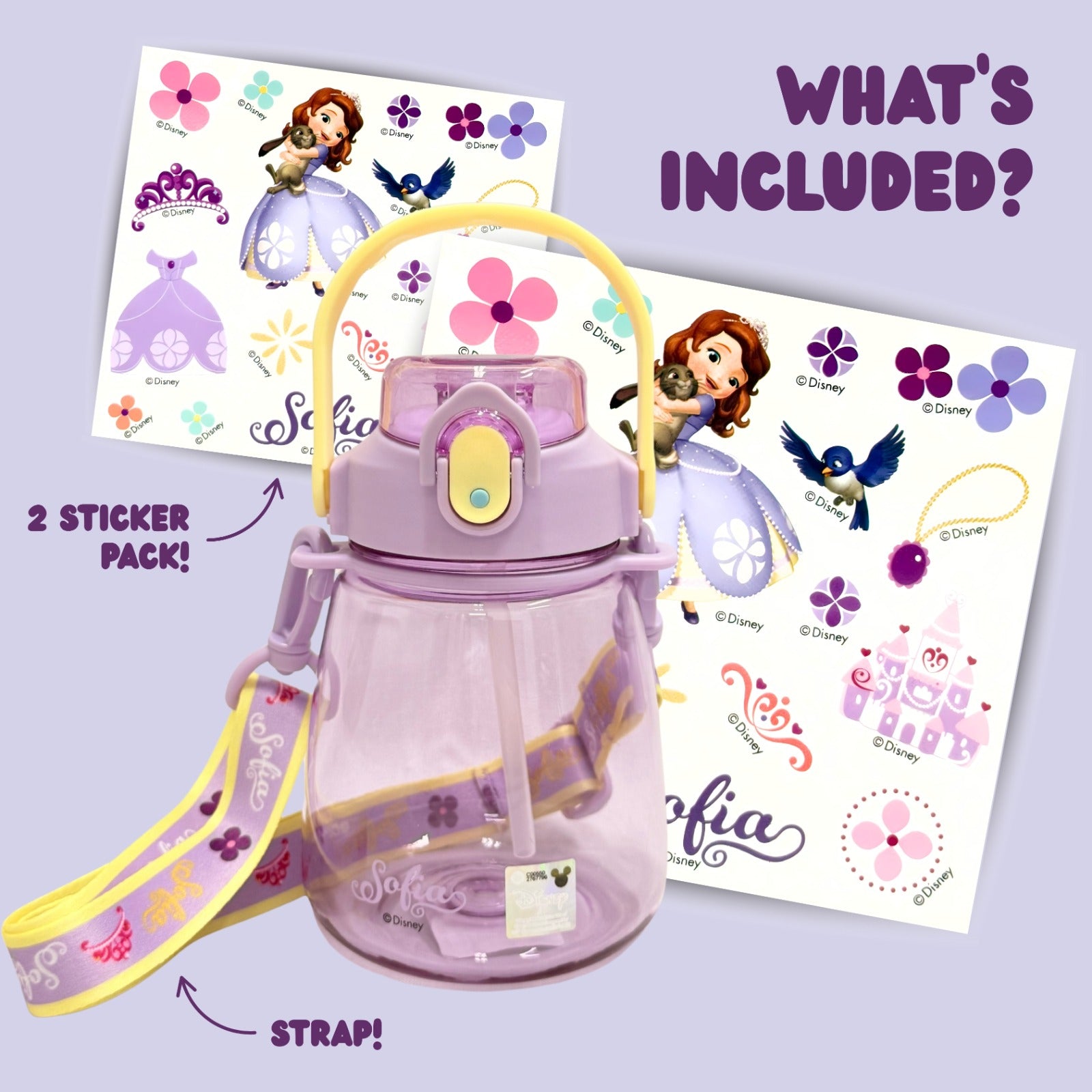 Princess Sofia / Marvel's Super Heroes Tritan Water Bottles w Strap 450ml