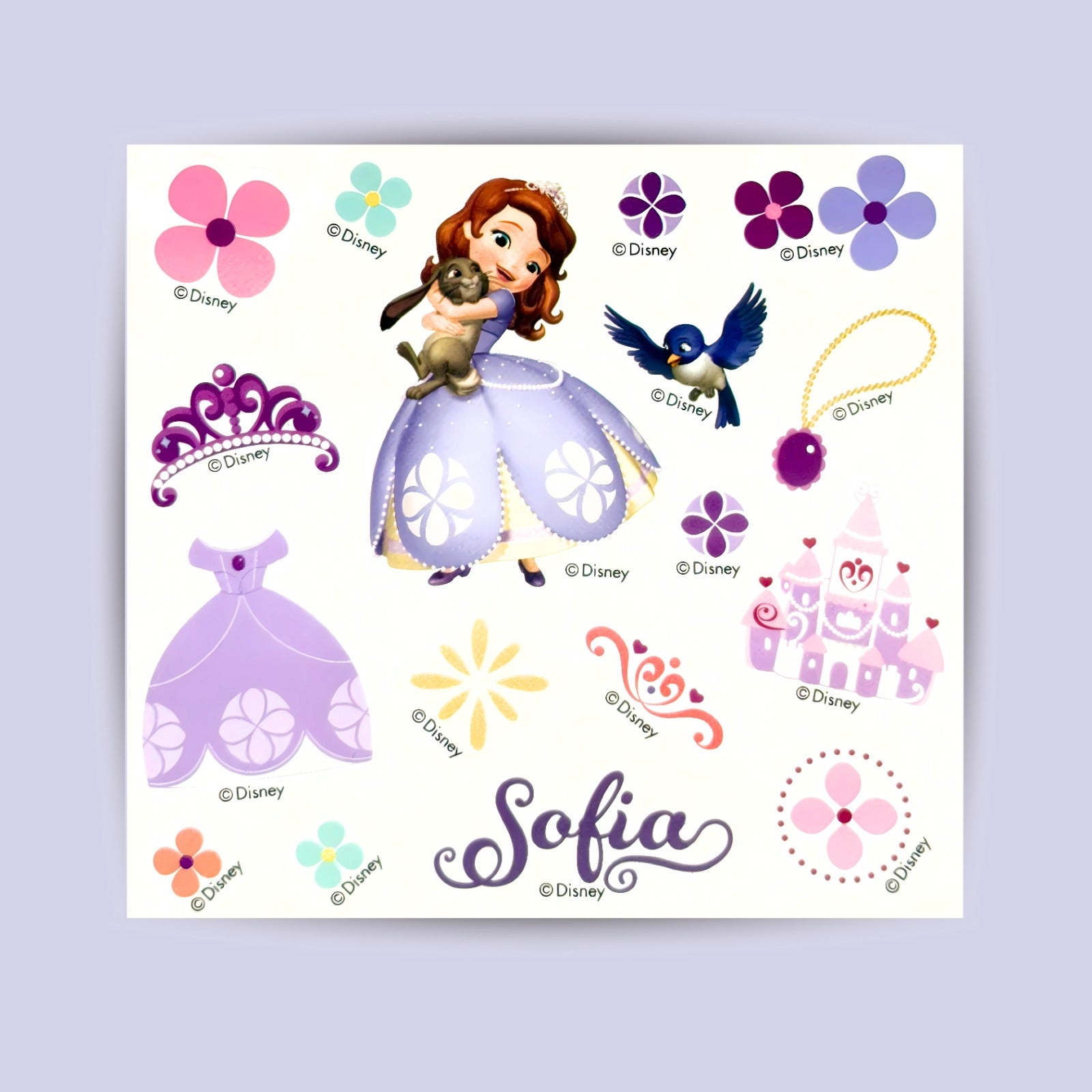 Princess Sofia / Marvel's Super Heroes Tritan Water Bottles w Strap 450ml